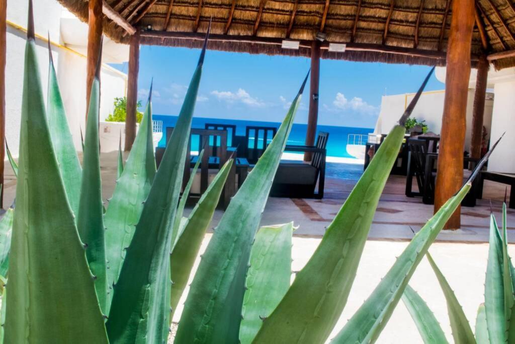 Marlin 108 * Cancún
