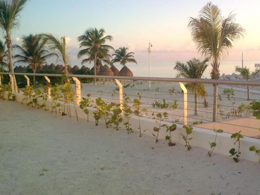 La Amada Residences. Apartment Cancun
