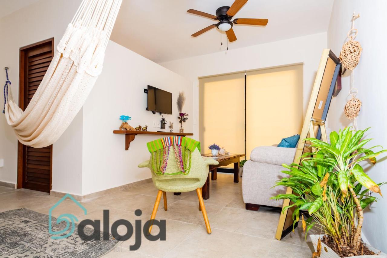 Ideal Estudios Calidos Y Acogedores Cancun