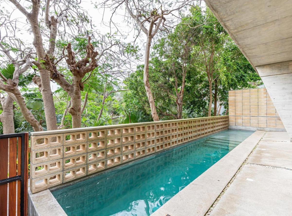Apartment Spacious Large Loft With Pool Cancun