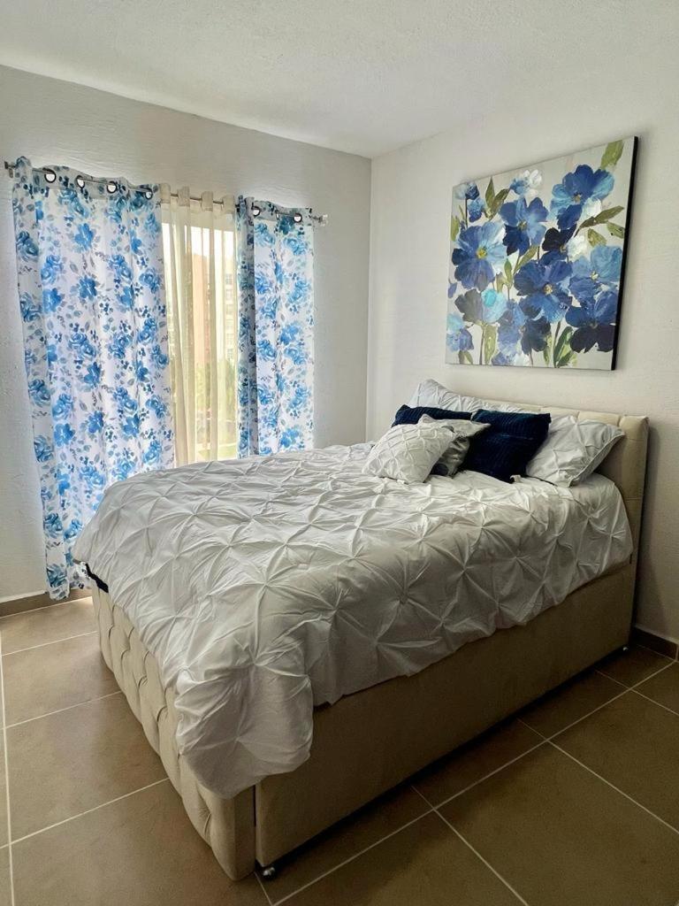 Apartment Jikmbs Dreams