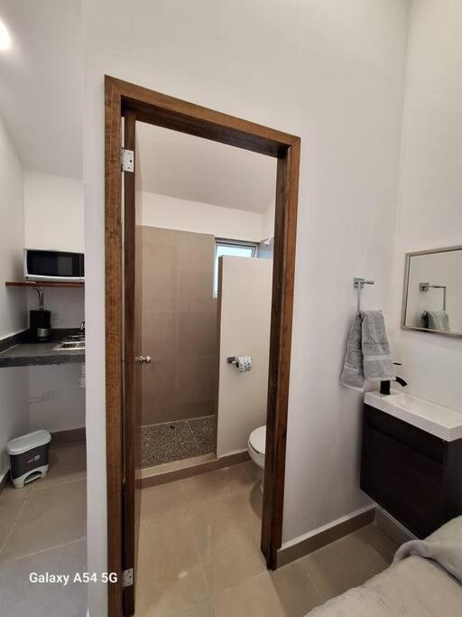 Apartment Estudio