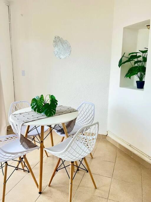 Apartment Lindo Y Amplio Estudio, Playa Marlin,zona Hotelera - Mar8 - *
