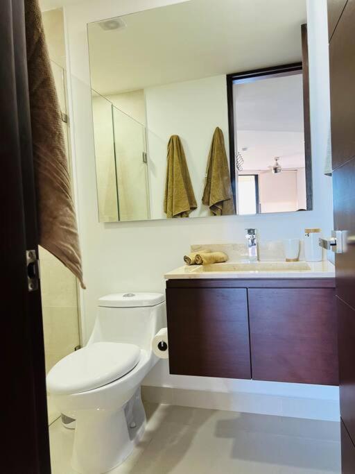 Apartment The Loft A Meters From The Beach/pool/wi-fi Cancún