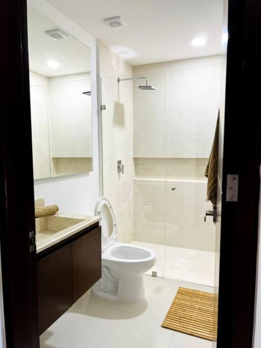 Apartment The Loft A Meters From The Beach/pool/wi-fi Cancún
