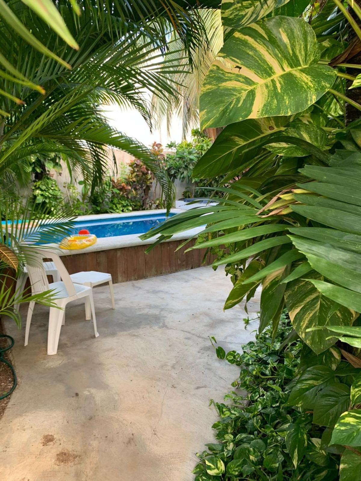 Apartment Casa Nona Rosa