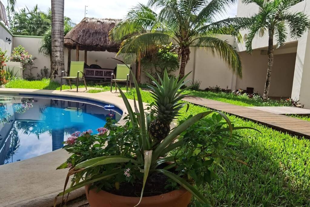 Holiday home House Completely Furnished Total Privacy 8pax Cancun