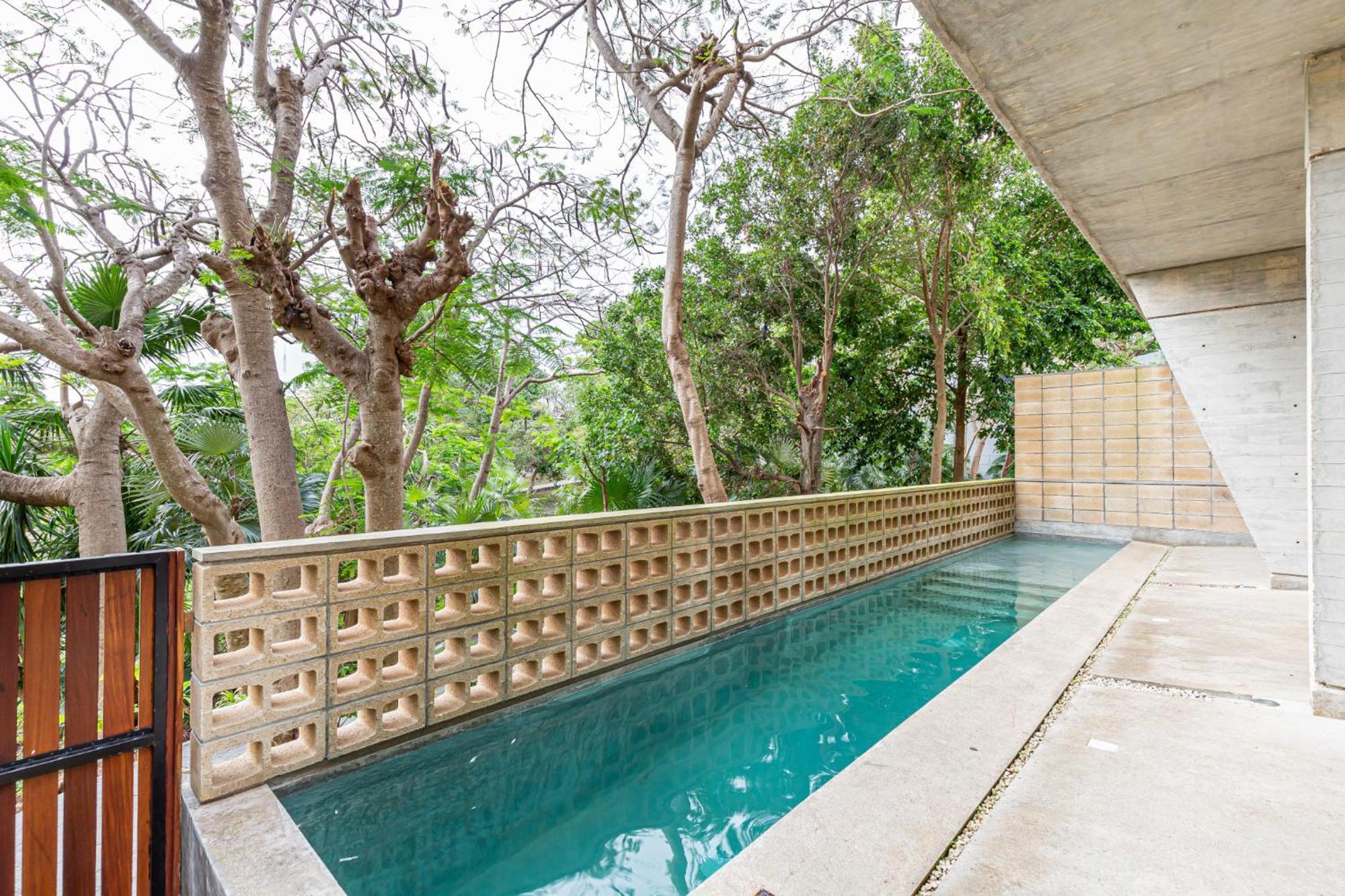Spacious Large Loft With Pool Apartment *