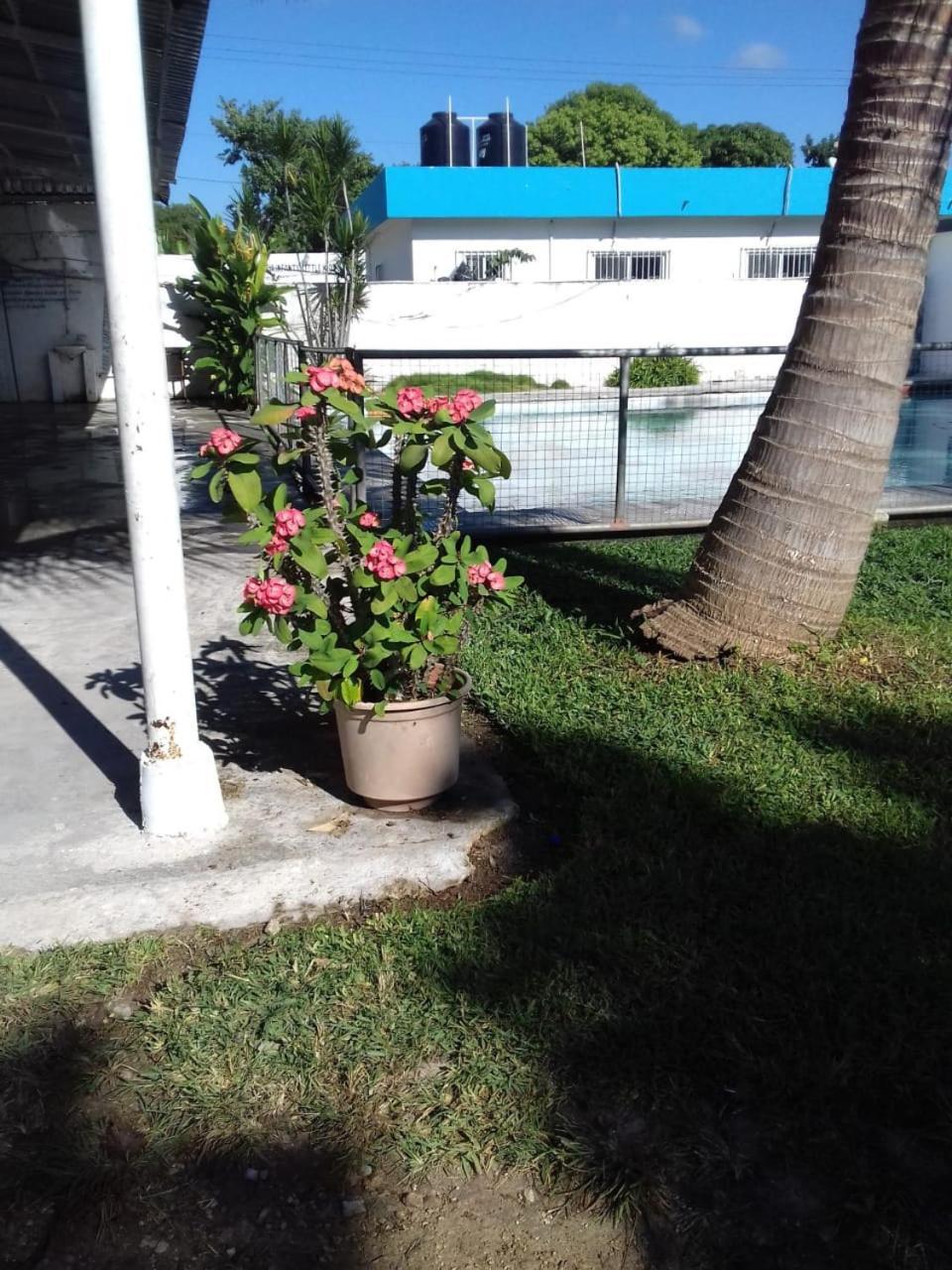 Casa Hacienda Grupos Con Alberca En * Cancun