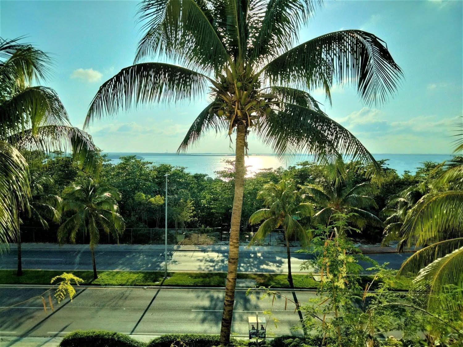 Great Price, Beautiful And Pool, 1 Bedroom Apartment