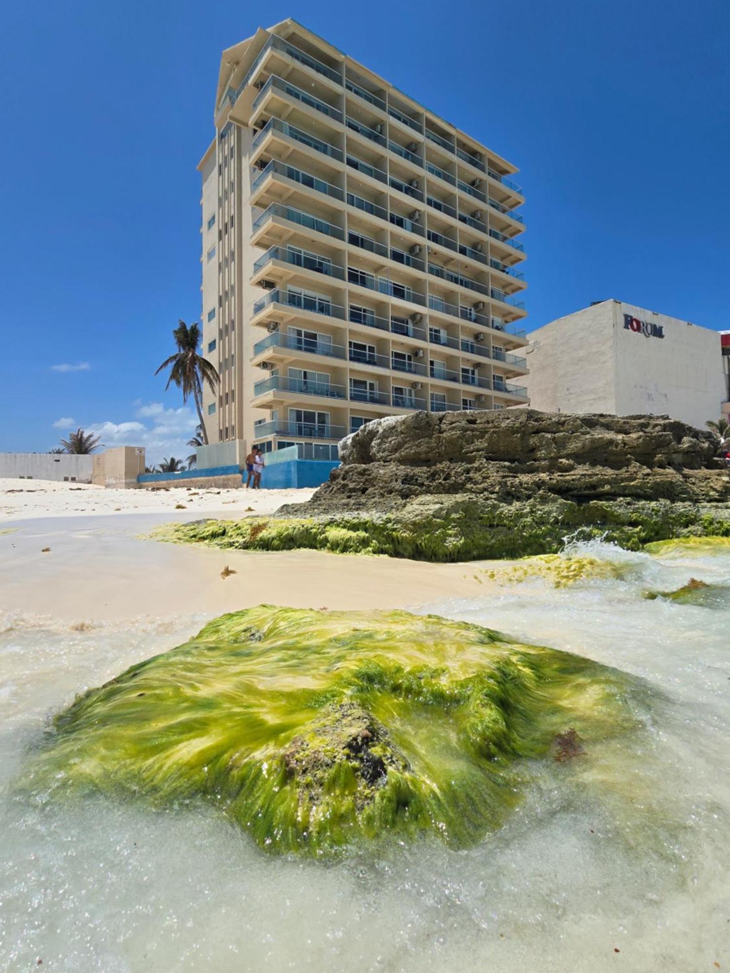 The Luxe Coastal Duplex At Salvia *