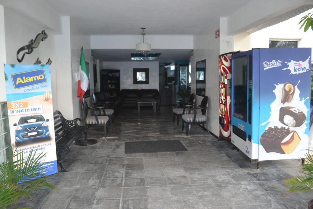 Salvia Cancun