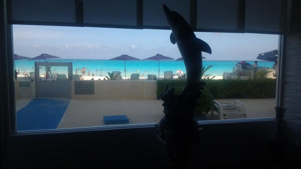 Salvia Cancun
