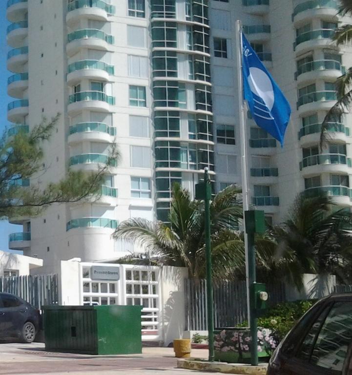 Salvia Cancun