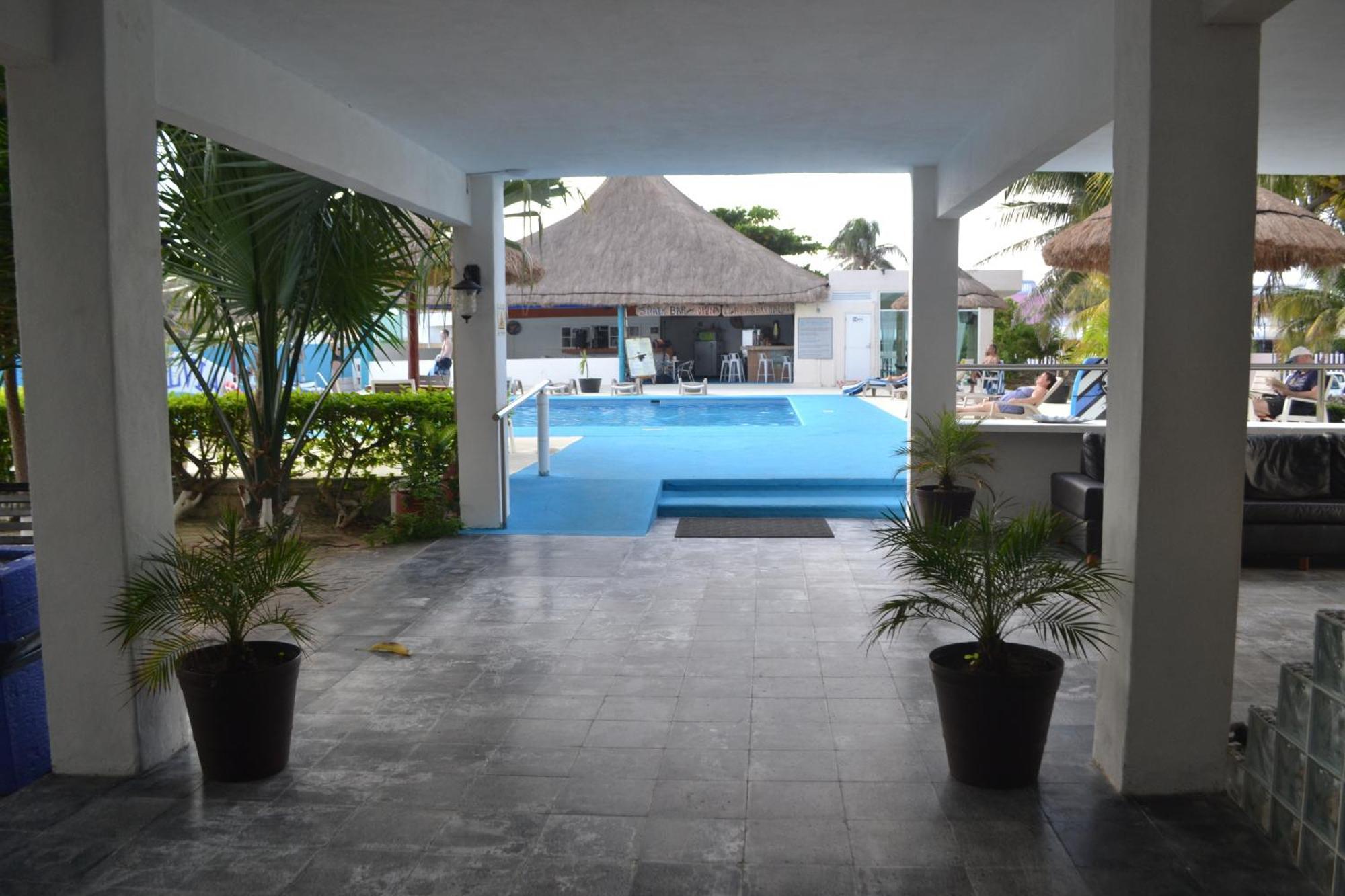 Salvia * Cancun