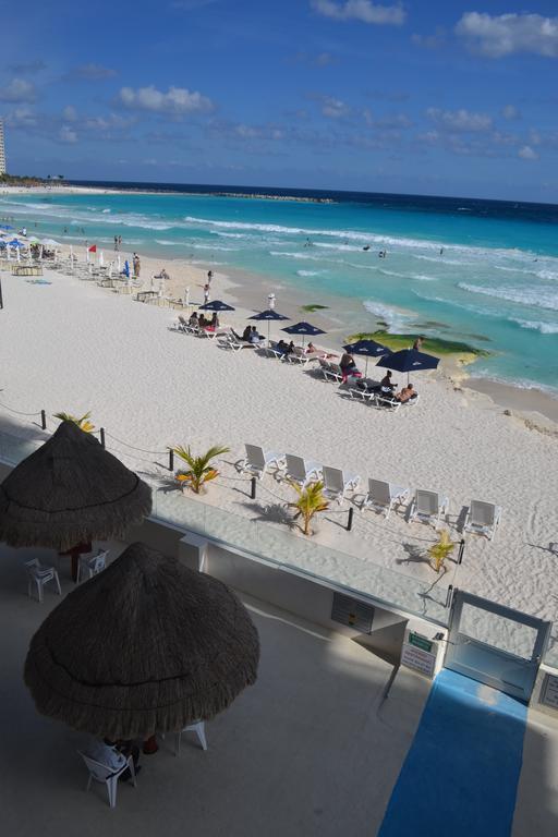 Salvia Cancun