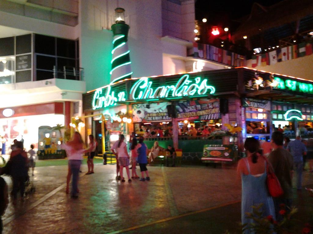 Salvia * Cancun