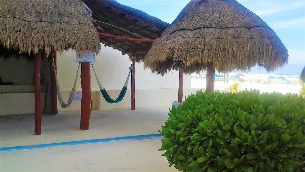 Salvia Apartment *