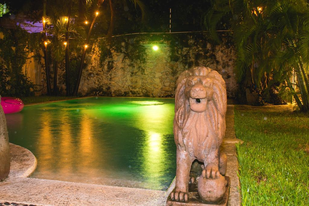 Guest house Purple Lion