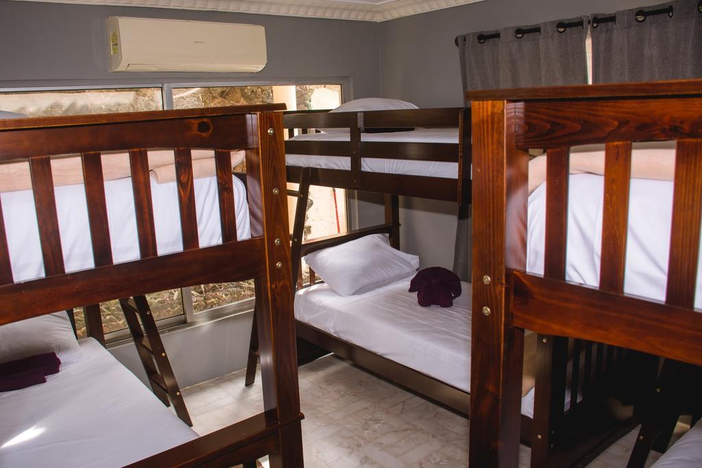 Purple Lion Guest house *