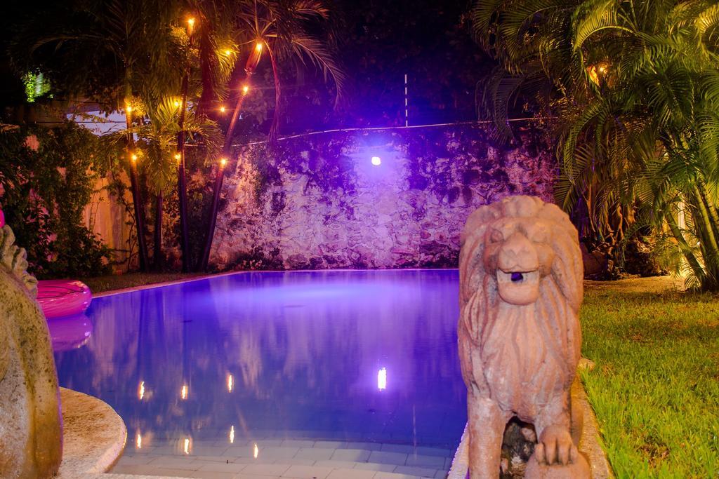 Purple Lion Guest house