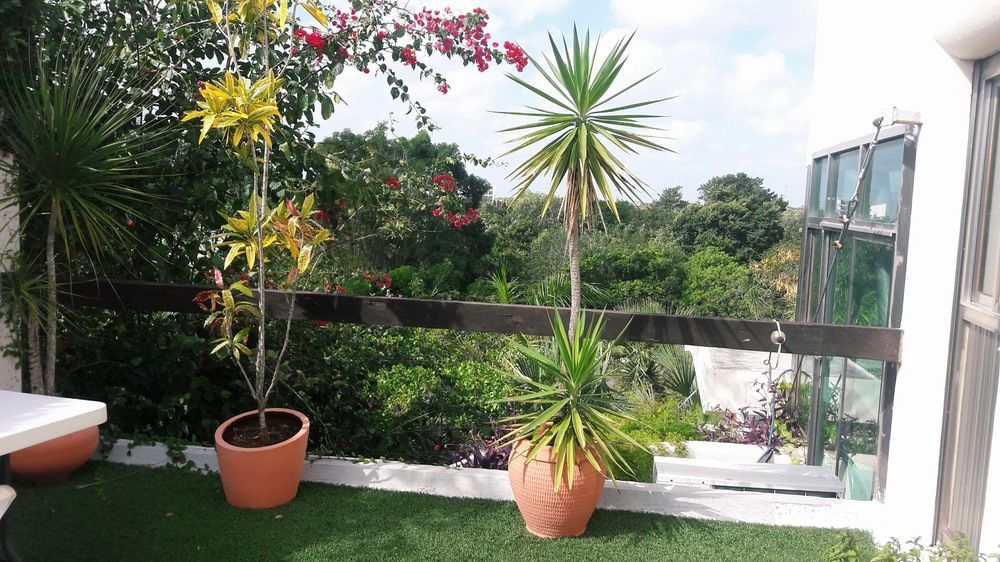Homestay Casa La Selva *
