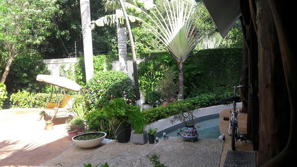 Homestay Casa La Selva *