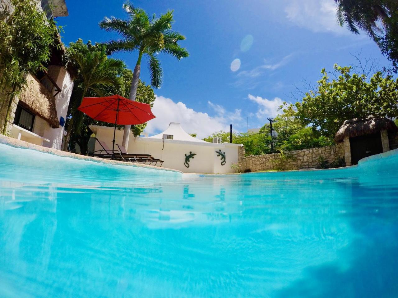 Gasthof Mango Rooms