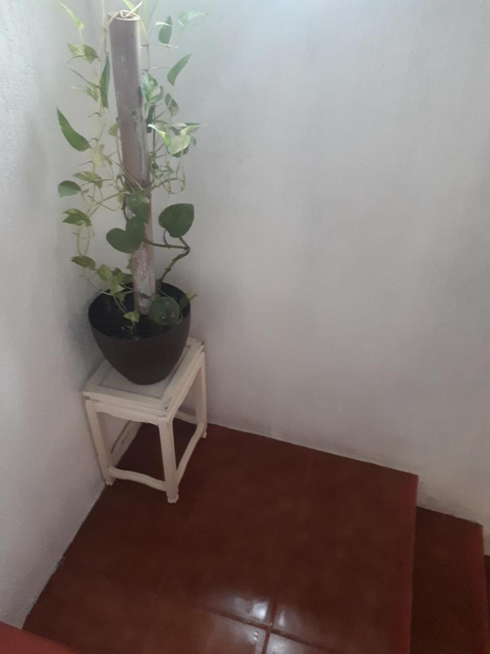 Homestay Mariposas Cancun