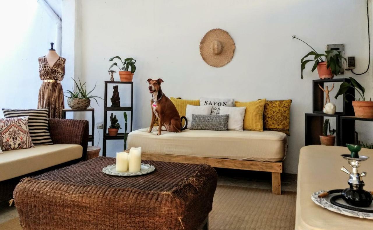 Guest house Residencia Artistica *